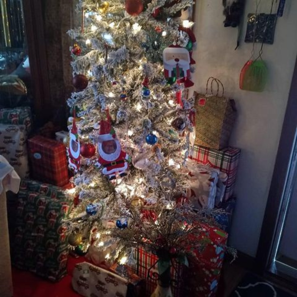 Meet your Posher, Ruth